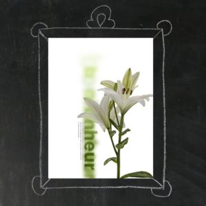 Affiche 30x40cm - Fleurs aux Mots - Bonheur