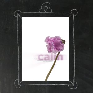 Affiche 30x40cm - Fleurs aux Mots - Calin. Photographies Olivier Botta, Design Solo Sinds 2014