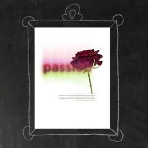 Affiche 30x40cm - Fleurs aux Mots - Passion. Photographies Olivier Botta, Design Solo Sinds 2014