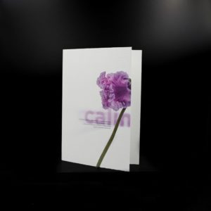 Carte Doubles - Fleurs aux Mots - Calin. Photographies Olivier Botta, Design Solo Sinds 2014